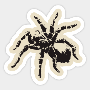 Spider Tarantula Sticker